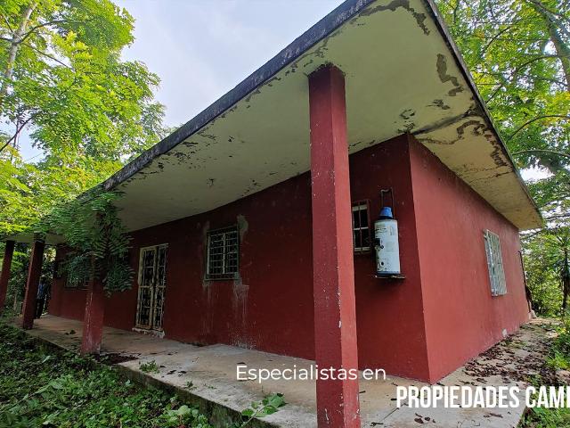 Terreno de 137 HA, Exfincas Cafetaleras