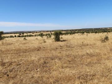 Terreno de 1350000 m2 Ferreira do Alentejo, Beja
