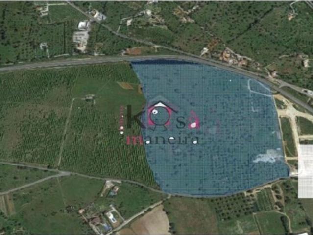 Terreno de 138952 m2 Tavira, Faro