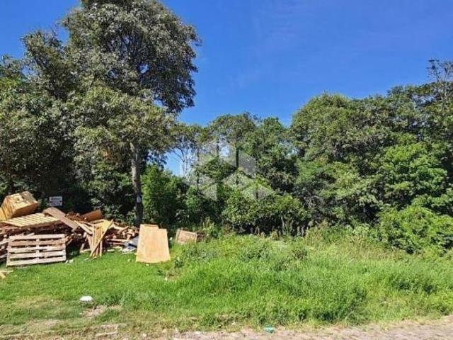 Terreno de 13.000m² no Bairro Esplanada em Caxias do Sul