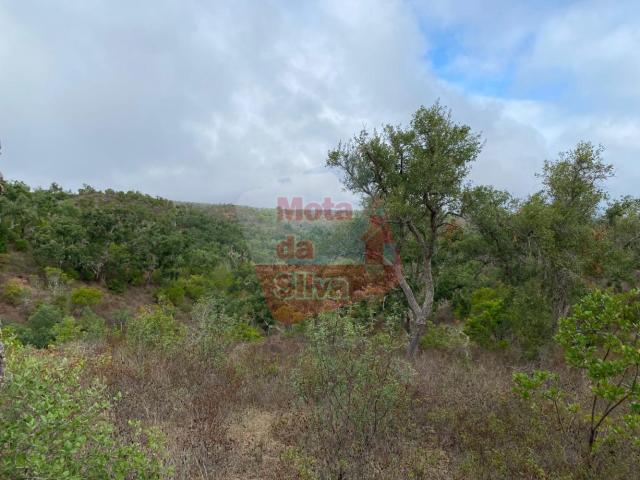 Terreno de 13.5ha em Santa Margarida da Serra
