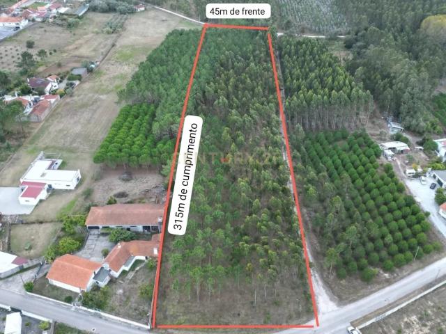 Terreno de 13.730m² para construção Localização Premium e Potencial Incrível!