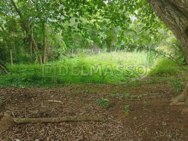 Terreno de 1.130 m² plano e limpo com excelente localização!