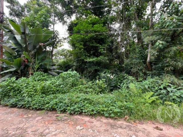 TERRENO DE 1.200 M² A VENDA EM UBATUBA SP / ITAMAMBUCA