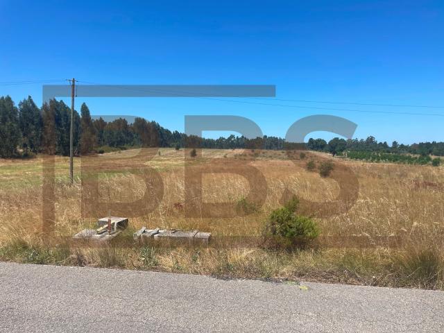 Terreno de 1,2 Hectares no Granho | Potencial para Transição a Urbano