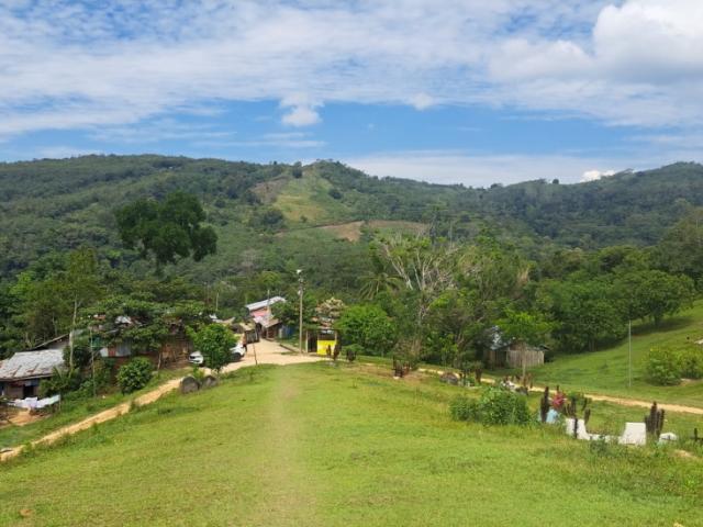 Terreno de 1.345 hectáreas en venta Tarapoto