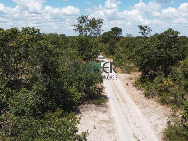 Terreno de 1 422 ha todo plano em Januária MG