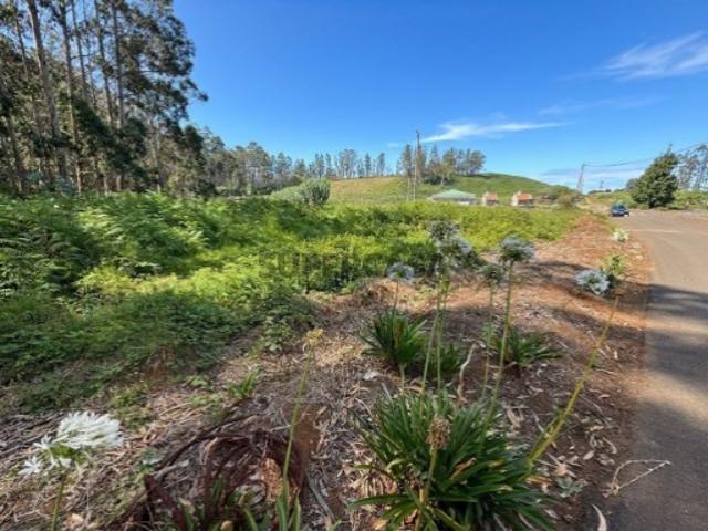 Terreno de 1.500 m² na Santa, Porto Moniz