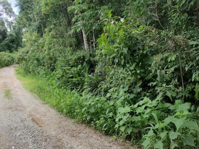 Terreno de 1.924m² Condomínio Sausalito Serra da Cantareira