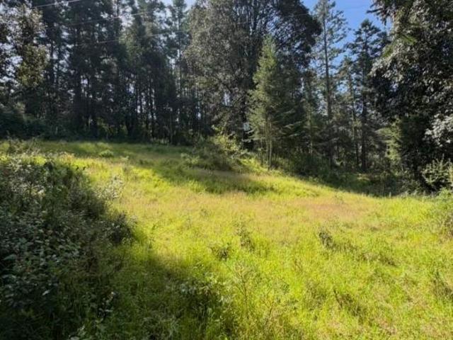 Terreno de 1 hectárea, con acceso privado a 5 minutos de Reseva Santa Fe