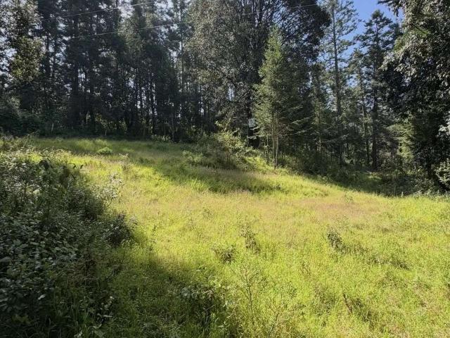 Terreno de 1 hectarea a 5 min de reserva santa fe