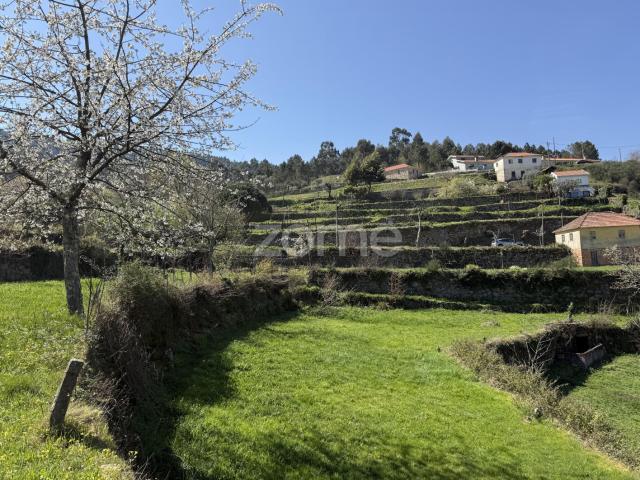 Terreno de 1ha com casa e ruína, centro de Cinfães