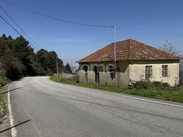 Terreno de 1ha com casa e ruína, centro de Cinfães