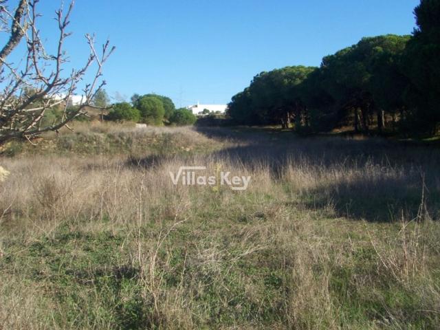 Terreno de 2400 m2 Gambelas, Faro