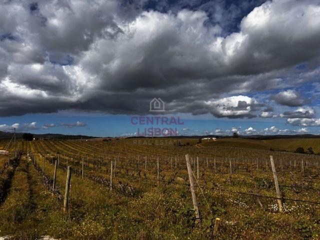 Terreno de 240 m2 à venda Terena, Alandroal, Évora