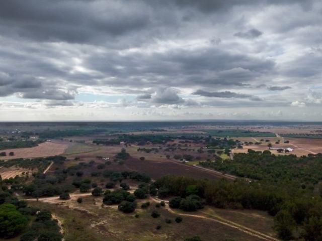 Terreno de 240 m2 à venda Ferreira do Alentejo, Portugal