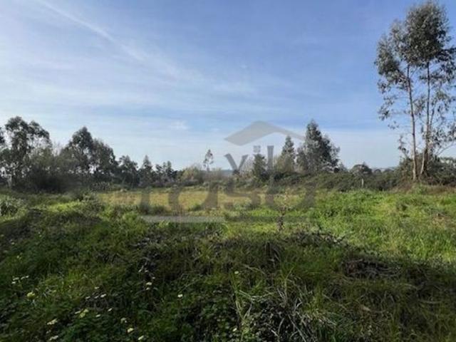 Terreno de 24450 m2 à venda Vila Nova de Gaia, Porto