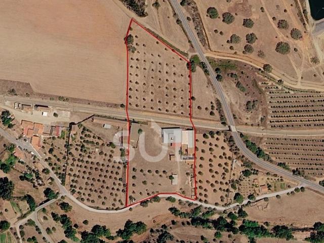 Terreno de 24500 m2 Ourique, Portugal
