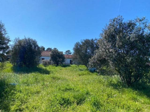 Terreno de 250 m2 à venda Aldeia da Justa, Grândola, Setúbal
