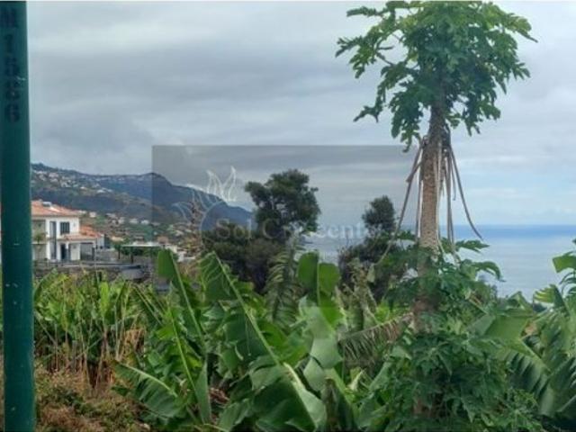 Terreno de 2600 m2 à venda Calheta, Portugal