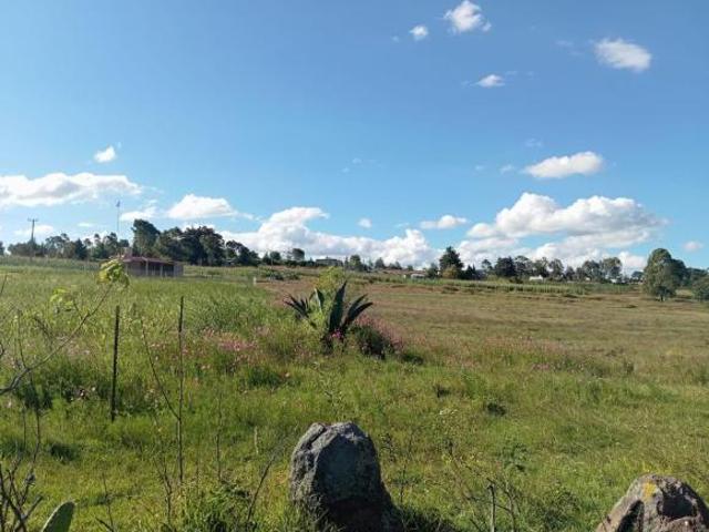 Terreno de 26,000 m² en Venta en San Pedro Tenango, Amealco