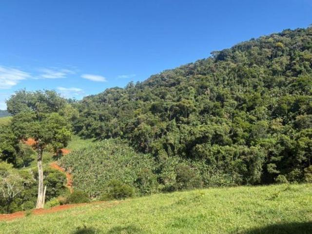 Terreno de 26.000m² à venda na região de São Francisco Xavier