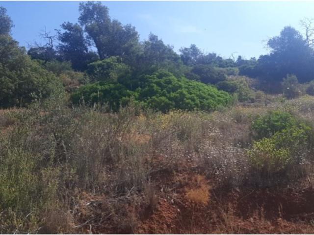 Terreno de 27000 m2 Loulé, Portugal