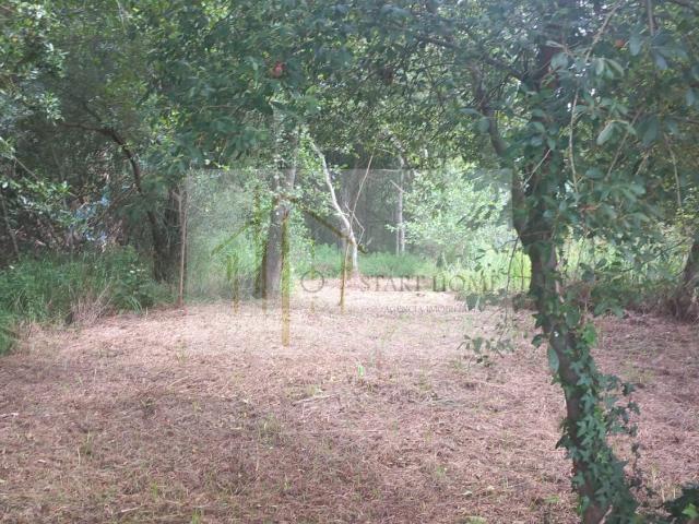 Terreno de 2819 m² na Murtosa – Tranquilidade e Espaço ao Seu Alcance