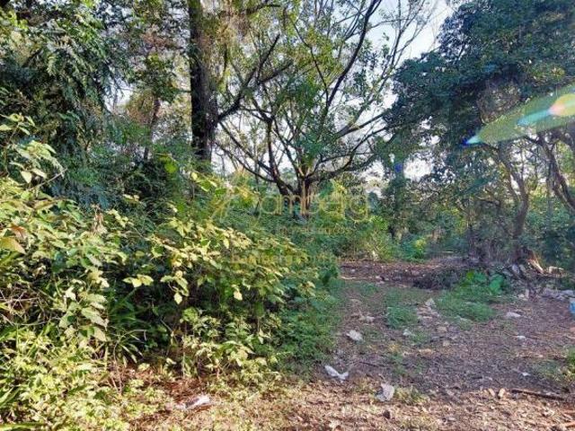 Terreno de 28.000,0 m² no Bolsão de Interlagos