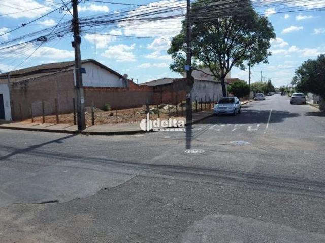 Terreno de 292,95 m² disponível para Venda no bairro Jardim Das Palmeiras em Uberlândia MG