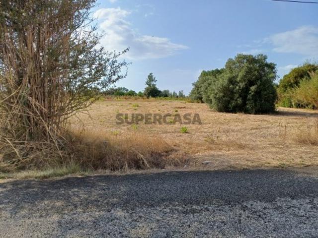 Terreno de 2940 m2 em Zona Urbanizável a 3 Kms das Caldas da Rainha