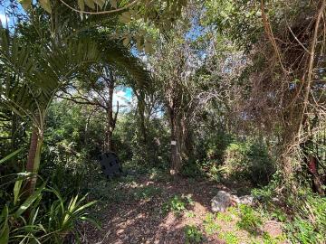 Terreno de 296.94 m2 en venta en El Encanto, Playa del Carmen