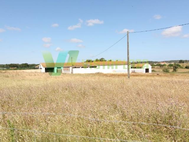 Terreno de 200000 m2 à venda Torre, Lagos, Faro