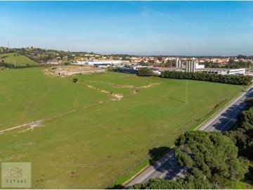 Terreno de 200000 m2 Casais da Lagoa, Azambuja, Lisboa