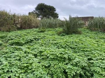 Terreno de 2000 m2 Ajuda, Lisboa