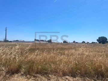 Terreno de 2000 m² na Rua Principal do Granho | Oportunidade de Construção