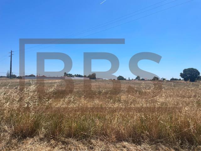 Terreno de 2000 m² na Rua Principal do Granho | Oportunidade de Construção