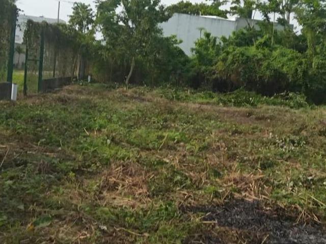 TERRENO DE 200 m2 ZONA CEDROS EN VENTA