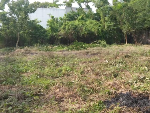 TERRENO DE 200 m2 ZONA CEDROS EN VENTA