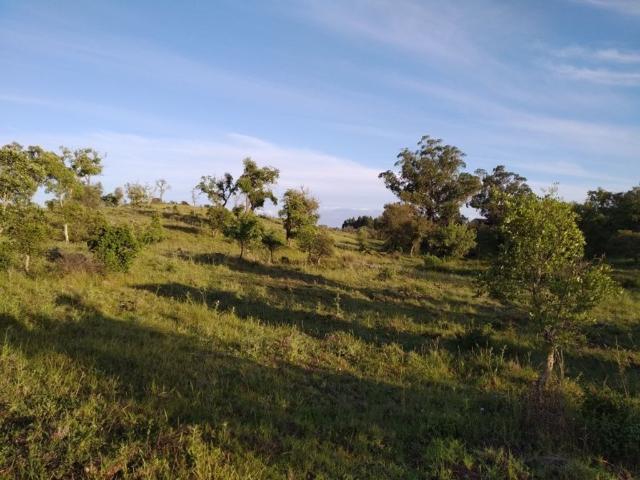 Terreno de 200 m2 à venda Santiago do Cacém, Portugal