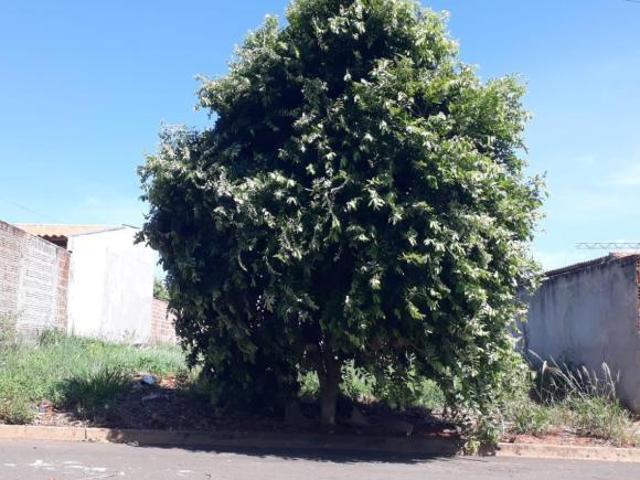 TERRENO DE 200 M² NO Jd. ITALIA A 300 METROS DA PRAIA DO CERVINHO EM SALES SP