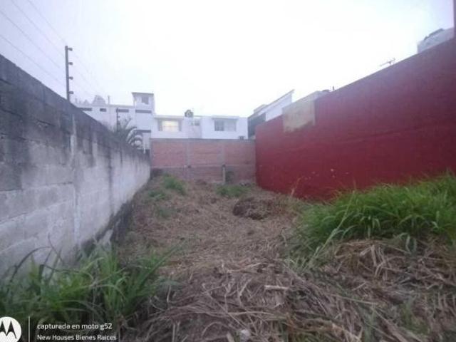 Terreno de 200 m² en venta, Pedregal de las Animas