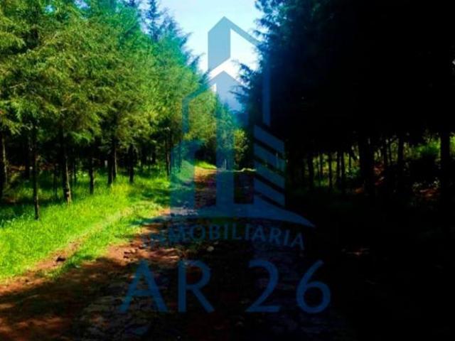 Terreno de 200 m² en venta, San Andrés Ahuayucan