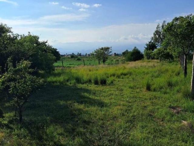Terreno de 2014 m² en venta en San Marcos Yecapixtla