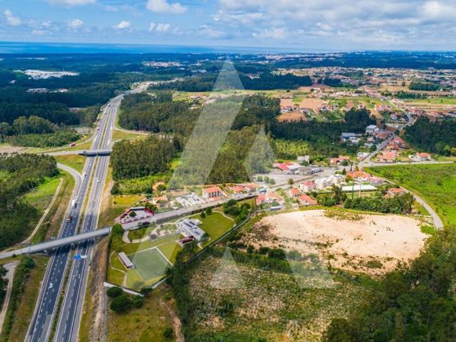 Terreno de 20618 m2 Ovar, Portugal