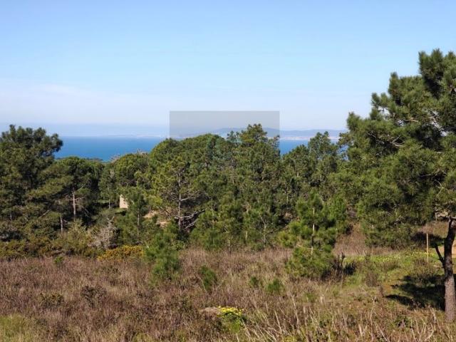 Terreno de 20800 m2 Meco, Sesimbra, Setúbal