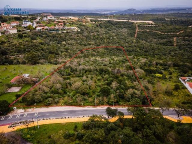 Terreno de 20.000 m² em Fátima | Junto à Igreja Matriz | 5.000 m² Construtíveis