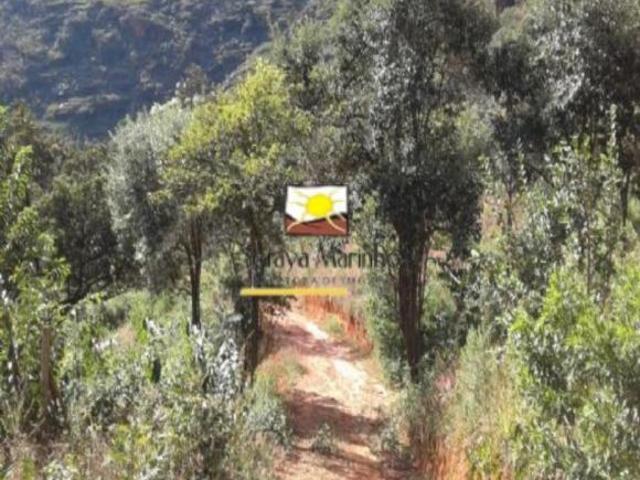 Terreno de 7.000m² em condomínio vila rural à venda no bairro Suzana em Brumadinho MG