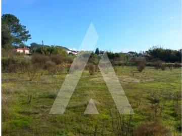 Terreno de 21808 m2 Leiria