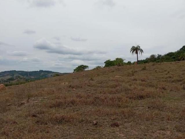 TERRENO DE 21 HECTARES C/ TOPOGRAFIA MISTA E ÁGUA CORRENTE À VENDA EM ITAGUARA/MG